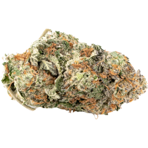 Green Valley Botanicals 3 Kings Cannabis Strain