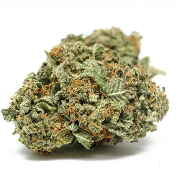 Green Valley Botanicals Black Domina Cannabis Strain