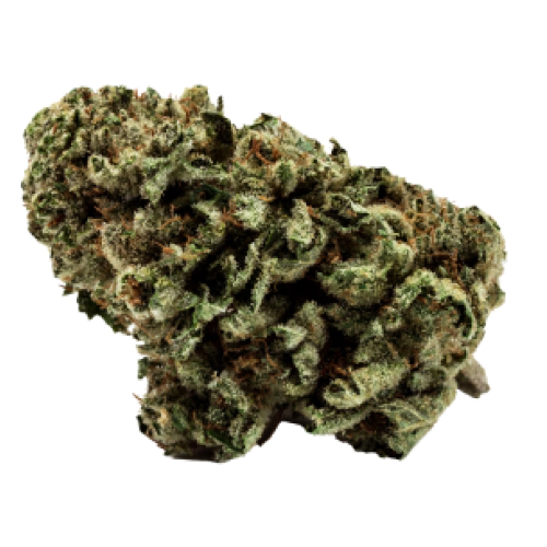 Green Valley Botanicals City Slicker Cannabis Strain