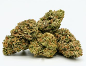 Connected Cannabis Co. Connected Cannabis Jar 10g Gelonade
