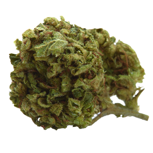 Green Valley Botanicals Cookies Gary Payton Marijuana Strain