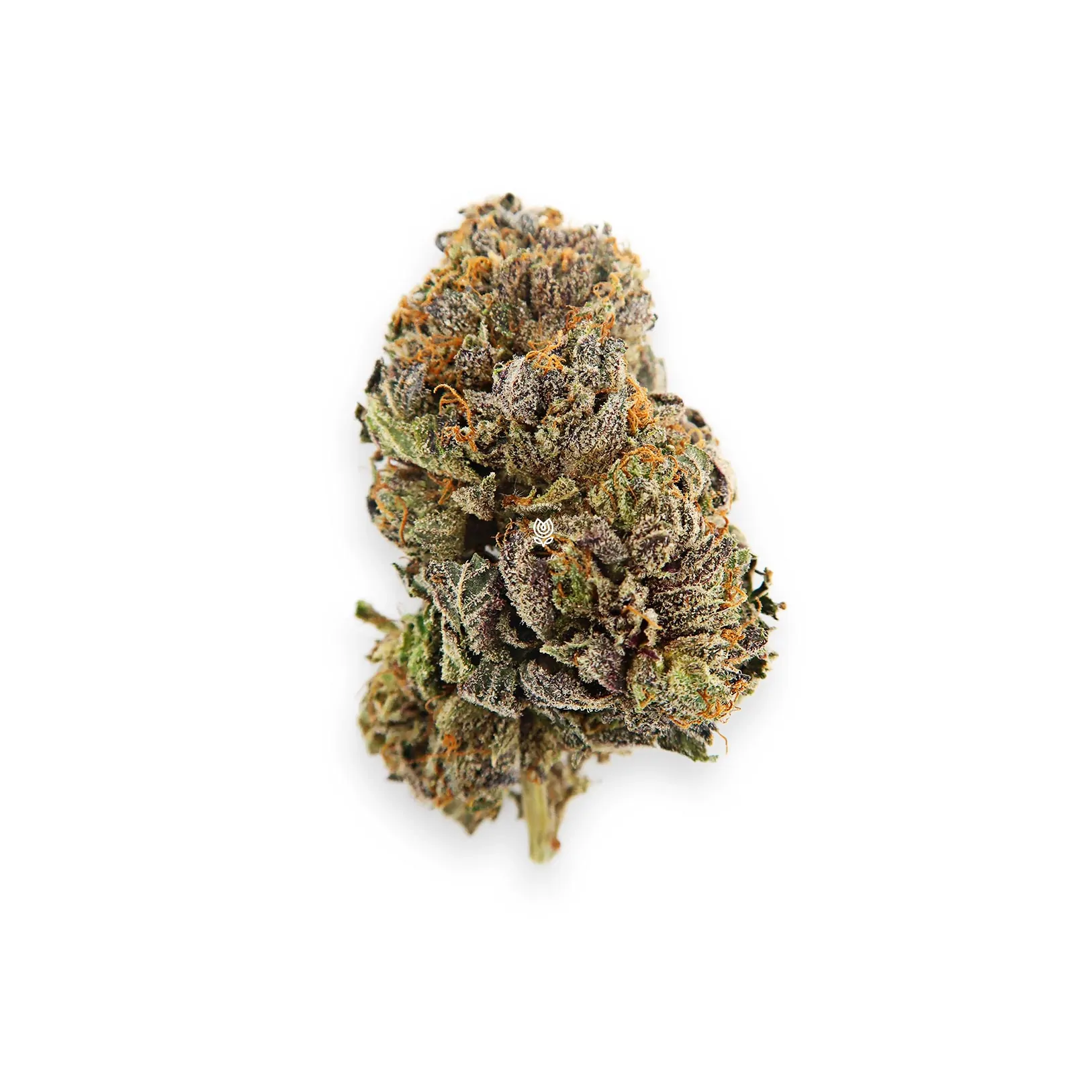 Green Valley Botanicals Dr. Who Marijuana Strain UK