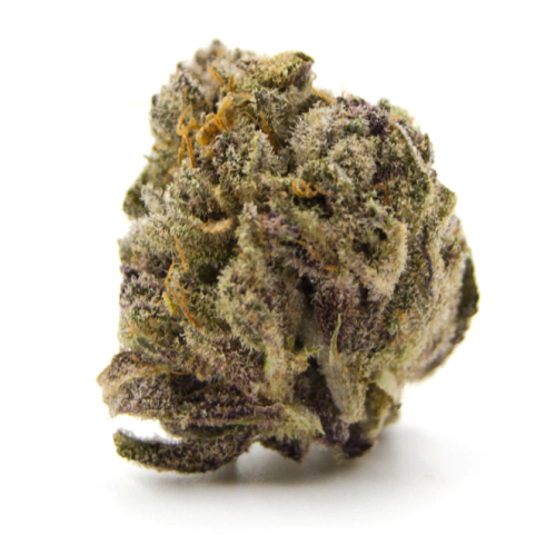 Green Valley Botanicals Golden Pineapple Cannabis Strain