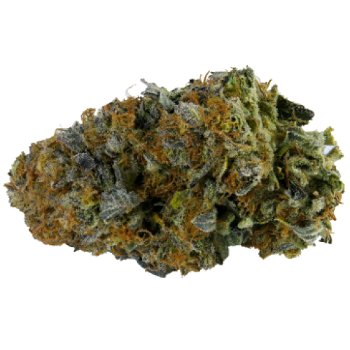 Green Valley Botanicals Hogs Breath Marijuana Strain