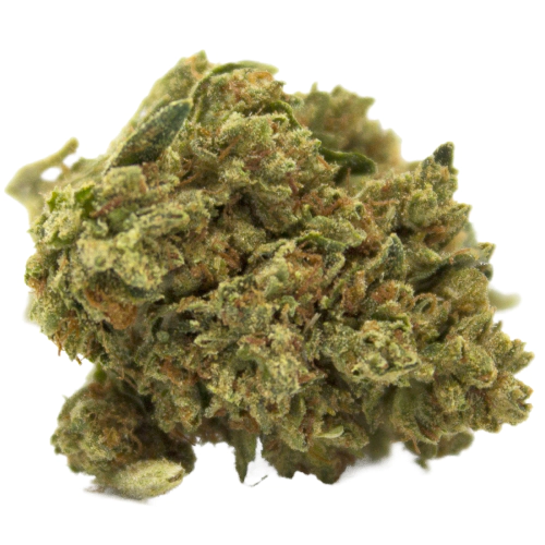 Green Valley Botanicals Jesus OG Marijuana Strain