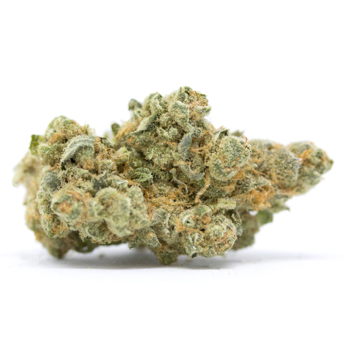 Green Valley Botanicals Moby Dick Weed Strain