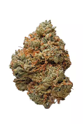 Green Valley Botanicals Night Terror OG Cannabis Flower