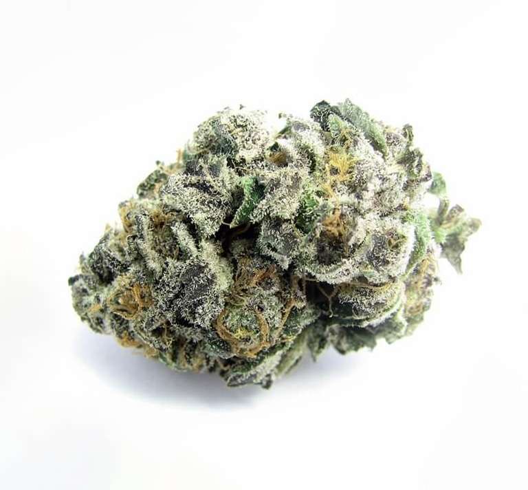 Green Valley Botanicals Platinum Girl Scout Cookies Marijuana Strain