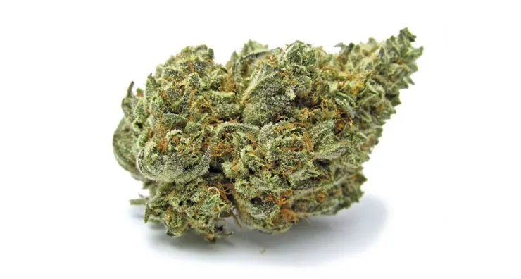 Green Valley Botanicals White Buffalo Weed Strain