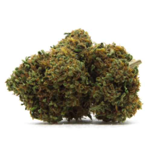 Green Valley Botanicals White Fire 43 Marijuana Strain