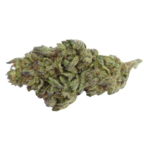 Green Valley Botanicals White Rhino Marijuana Strain
